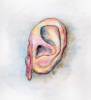 Micros_Montoya_VanGogh_Quetzal-Redaktion_CD