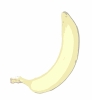 Bananenpflanze - Foto: Quetzal-Redaktion, gt