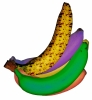 Bananenpflanze - Foto: Quetzal-Redaktion, gt