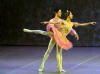 Dance - Nationalballet - Bild: Snapshot