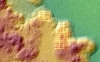 rezensiert_Söhne_der_Sonne_Maya_Tiergehege_Snapshot