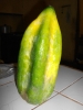 ecuador-babaco-frucht-foto1-quetzal-redaktion-am