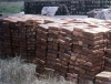 Argentinien: Wohnungsbau - Foto: Quetzal-Redaktion, gt