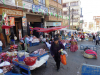 LaPaz_Bild_Quetzal- Redaktion_soleb