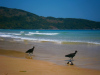 Brasilien - Bild: Quetzal-Redaktion, soleb