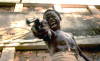 rezensiert_cidade_de_deus_2_snapshot