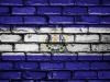 Noticias El Salvador - Bild: David_Peterson, Pixabay CC