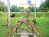 indigenas_krygier-tikal_berechnung-redaktion_jensrohark