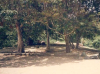 Kolumbien_Tayrona_Dorf_Quetzalredaktion_gt