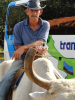 Kuba: Landwirtschaft Vinales Büffel - Foto: Quetzal-Leipzig.pg