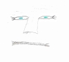 Augen_quetzal_redaktion_nic