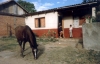 Lateinamerika_Kleinbauernfamilie_foto_quetzal_redaktion.pg