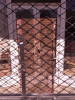 Noticias-USA-Lateinamerika-Bild-Quetzal-Redaktion-mceniza