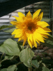 Sommerpause_Bild_Quetzal-Redaktion, soleb