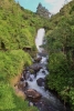 Wald_Bild_Quetzal-Redaktion_teje