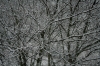 Winter - Foto: Quetzal-Redaktion, mcm