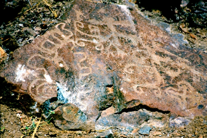 Die Zerstörung der Steinzeichnungen von Checta bei Lima lässt sich nicht mehr aufhalten - Foto: Quetzal-Redaktion, ssc