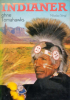 Stingl_Indianer_ohne_Tomahawks_Buchtitel