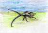 gelesen_kaefer_Bild: Quetzal-Redaktion_cd