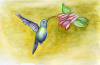 gelesen_ospina_kolibri_Bild: Quetzal-Redaktion_cd