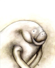 kultur_montoya_microzoologia_seekuh_quetzalredaktioncd