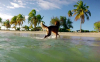 Krieg_im_Paradies_Hund_Snapshot