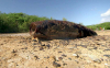 Krieg_im_Paradies_Strand_Snapshot