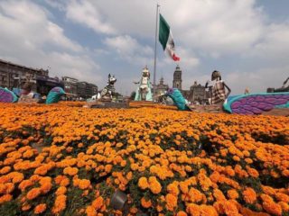 Artikel Vorschaubild