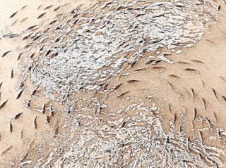 Artikel Vorschaubild