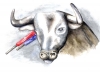 Kultur: Microzoología Victor Montoya, Der Stier - Bild: Quetzal-Redaktion, cd